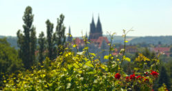View on cathedral of Meissen © Matthias Stelzig